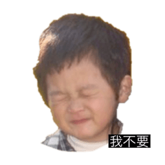 老登一家族2.0