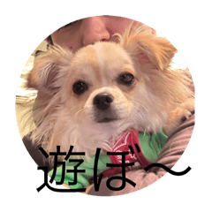 mogu mogu_20250314004318