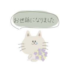 omame_20250313213505