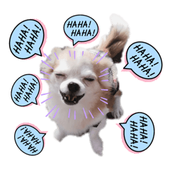 FujiFamily_20250314101809