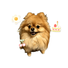 ryo_20250313214316
