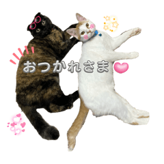 mii_20250313233716