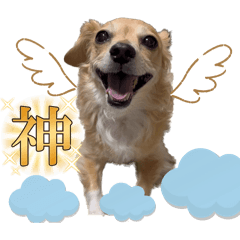 Rena_20250313180709