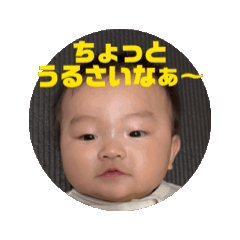 kohaku_20250314142816
