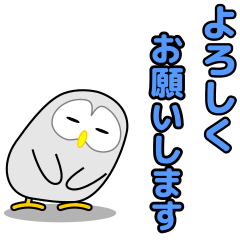 All owls Sticker