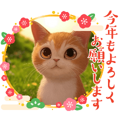 Q cute cat1