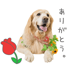 StampNo:5014