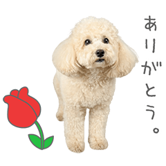 StampNo:5022