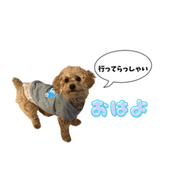 sayu_20250314002814