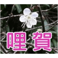 台語.