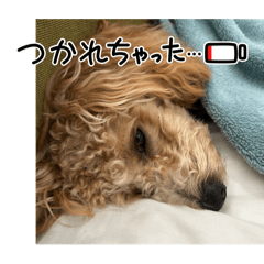 Nagisa_20250314185529