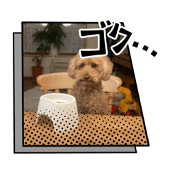 mimi_20250314145247