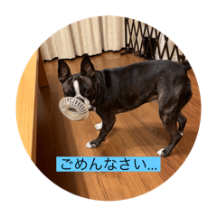 taka_20250314165853