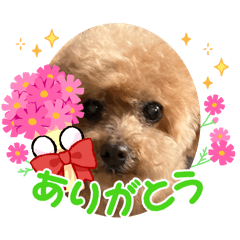 やまもとふちゃん2