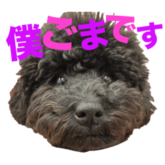anko_20250314150657
