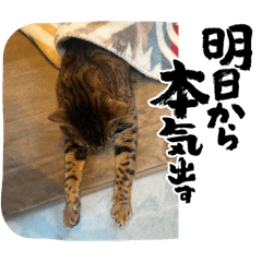 mikan_20250314151604