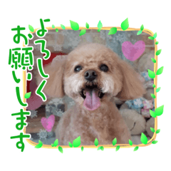 Mimi_20250314210346