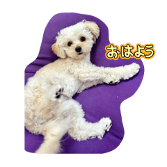mayu_20250314210826