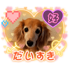 sachi_20250314232329