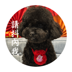 Emma是小寶