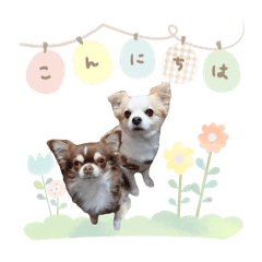 yuka_20250314214928