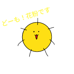 COMA_Zi17_20250314215927