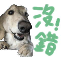 睏寶貼圖第二彈