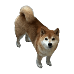 R_20250314192908