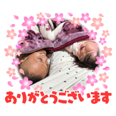 AINA_20250314202959