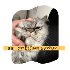 sachi_20250314225650
