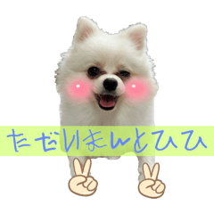 n_20250315023920