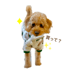 Sumire_20250315095341