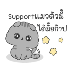 แมวขนปุย ที่จริงใจ