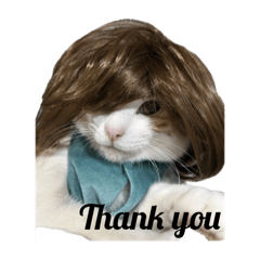 rinoha28_20250314173732