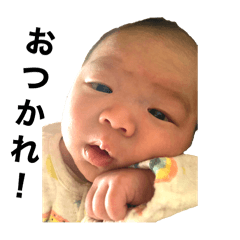 Yuki_20250315000010
