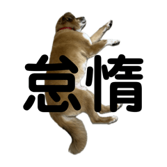 komatsu_mental_20250314182540