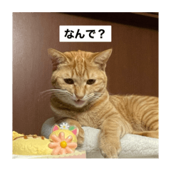 same_20250315025647