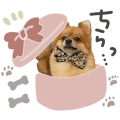 poco_20250315062023
