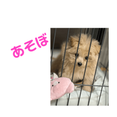 hy_20250314201502