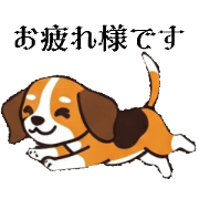 Animalcreation_20250314202643