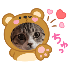 saori_20250315001844