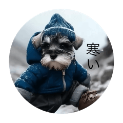 おもしろシュー