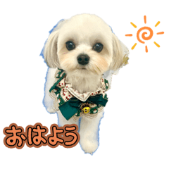 risa_20250315073719
