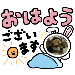 Ai_20250315075559