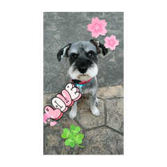 emi_20250315074809