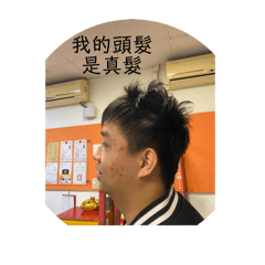 細2.0