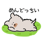 tokoroten_20250315104030