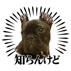 nana_20250315103709