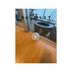 Mimi_20250315171729