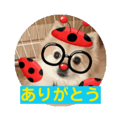 Yun_20250315171653